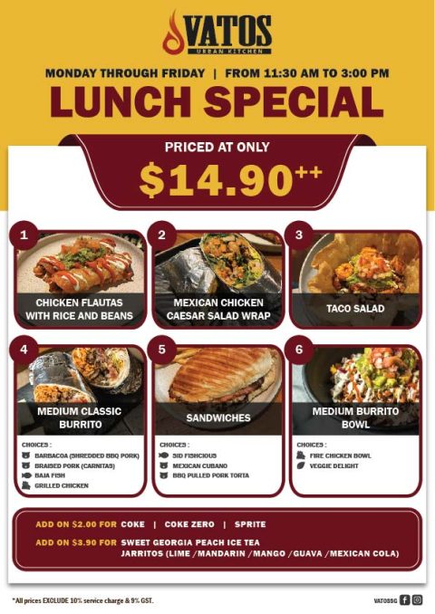 $14.90 Ciy House Lunch Special-02