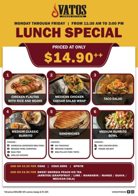 $14.90 Ciy House Lunch Special-02